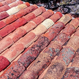 Entretien & démoussage